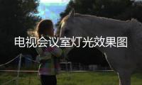 电视会议室灯光效果图