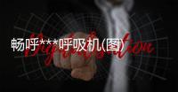 畅呼***呼吸机(图)