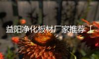 益阳净化板材厂家推荐「在线咨询」