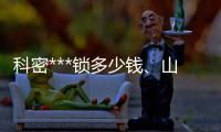 科密***锁多少钱、山西***锁、龙城科密(查看)