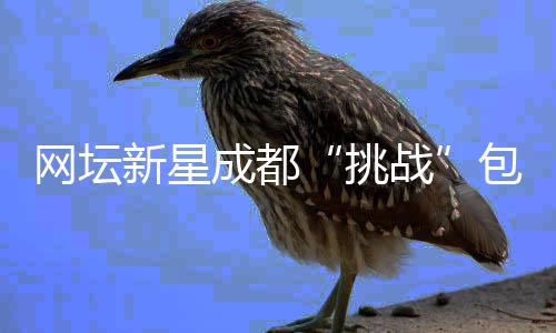 网坛新星成都“挑战”包饺子 沉醉式体验中国文化