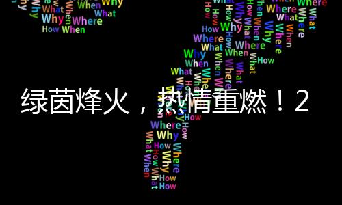绿茵烽火,热情重燃!2024中国网络媒体足球精英赛开幕