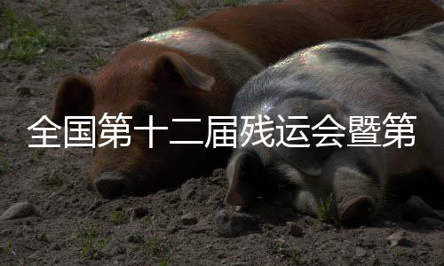 全国第十二届残运会暨第九届特奥会跆拳道赛事在广东惠州收官