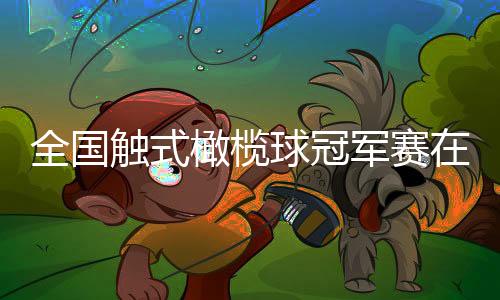 全国触式橄榄球冠军赛在杭落幕 带动文旅消费升温