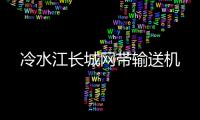 冷水江长城网带输送机