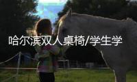 哈尔滨双人桌椅/学生学习桌椅/中信办公出品
