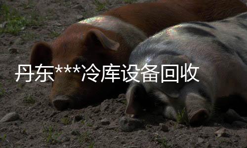 韩国晓星POKM33AG6A中粘度30玻维增强材料