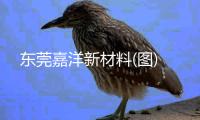 东莞嘉洋新材料(图)