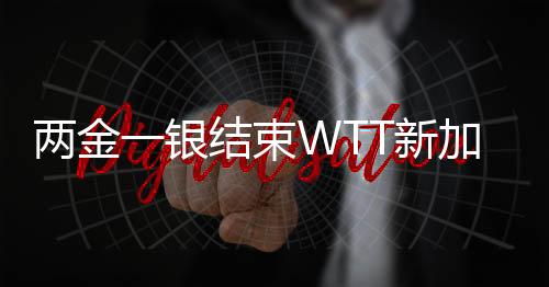 两金一银结束WTT新加坡大满贯之旅 王楚钦期待更大突破