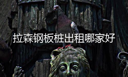 拉森钢板桩出租哪家好