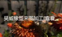昊威橡塑来图加工(查看)
