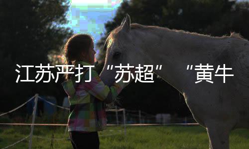 江苏严打“苏超”“黄牛”：第四轮赛事共抓获105人