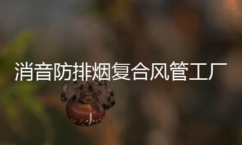 霞山高耐磨定制防粘聚乙烯衬板