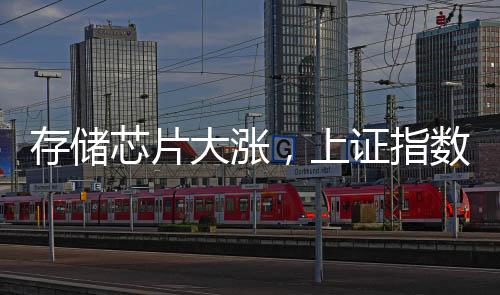 存储芯片大涨，上证指数“金针探底”，高手怎么看？
