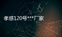 孝感120号***厂家