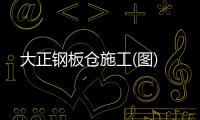 大正钢板仓施工(图)
