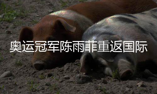 奥运冠军陈雨菲重返国际赛场：很开心能重新为国而战