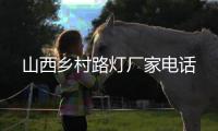 山西乡村路灯厂家电话