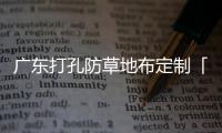 广东打孔防草地布定制「多图」