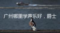 广州哪里学声乐好，爵士唱法，通俗唱法，成乐时代琴行