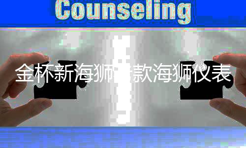 金杯新海狮老款海狮仪表工作台防晒避光垫汽车内饰专用品配件改装