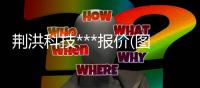 荆洪科技***报价(图)