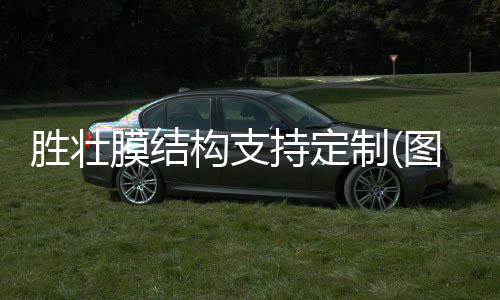 5米太阳能路灯哪家强