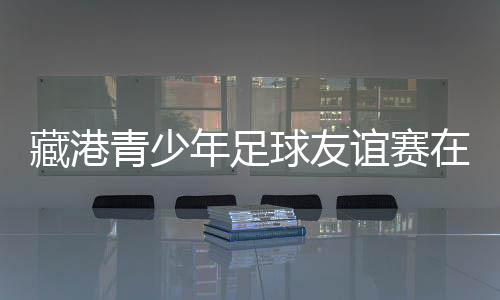 藏港青少年足球友谊赛在西藏林芝市举行 共庆自治区成立60周年