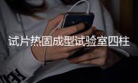 试片热固成型试验室四柱热压机
