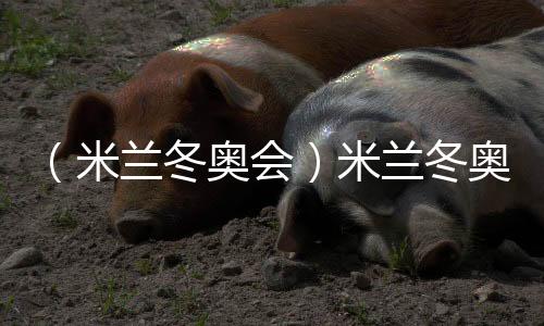 （米兰冬奥会）米兰冬奥会在历史古迹维罗纳竞技场闭幕