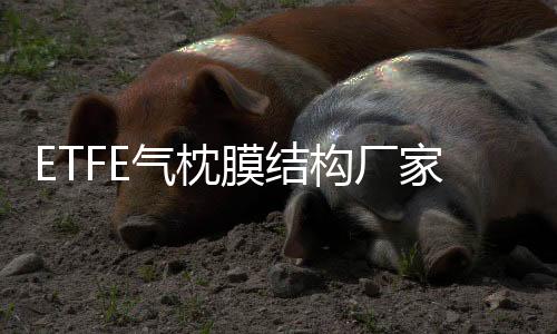 郑州便利店吸塑灯箱加工