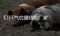 ETFE气枕膜结构厂家