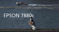 EPSON 7880c 丝印机 印前数码打样机