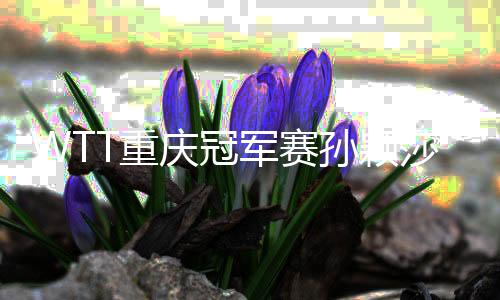WTT重庆冠军赛孙颖莎、樊振东夺冠，国乒将封闭备战奥运