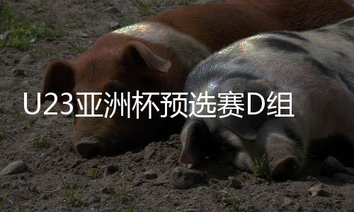 U23亚洲杯预选赛D组前瞻：中澳之战或决定小组出线走向